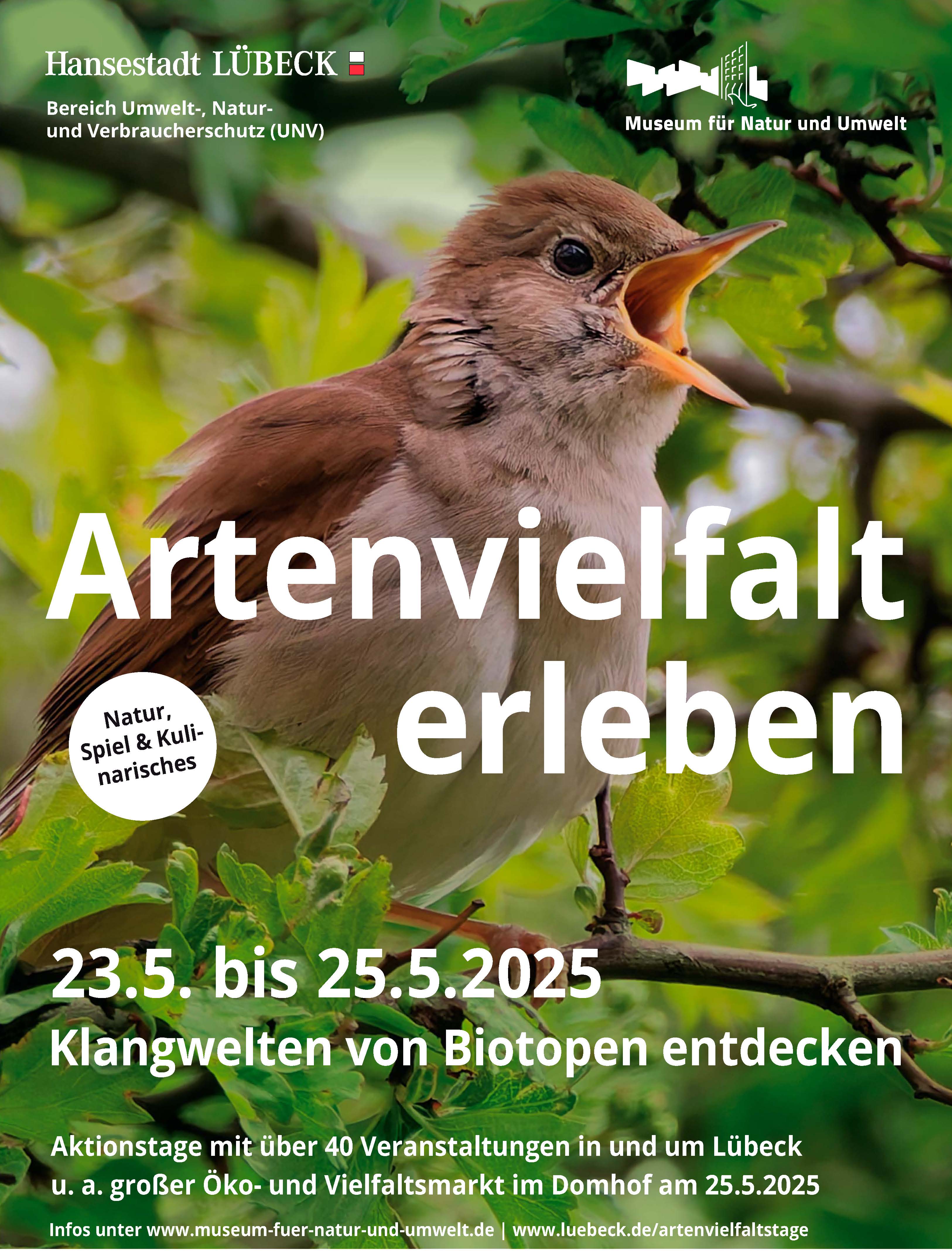 Artenvielfalt erleben, MNU, Lübeck